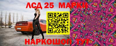 сатива Кулебаки